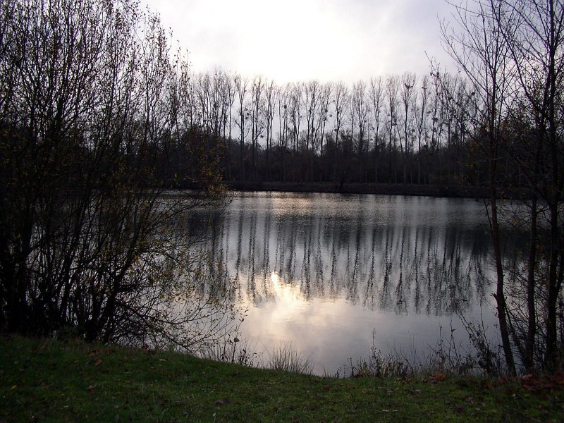 2009 01 Ornitho à Ecluzelles 04